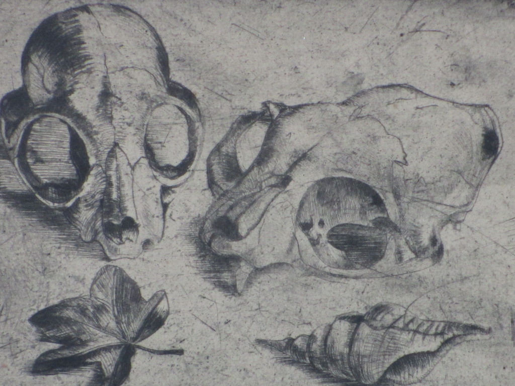 Freerk Los, Schedeltjes, Ets kopen? Bied vanaf 35!