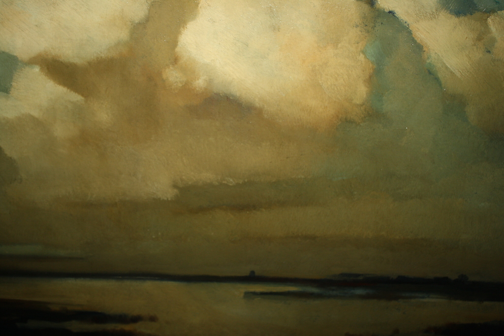 PLASGEZICHT IN DE SCHEMER VAN JOS ROVERS kopen? Bied vanaf 299!