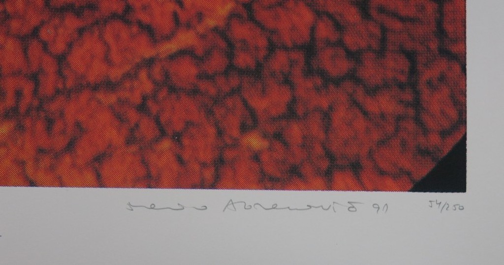 Marina Abramovic: Zeefdruk, Zonder titel kopen? Bied vanaf 1!