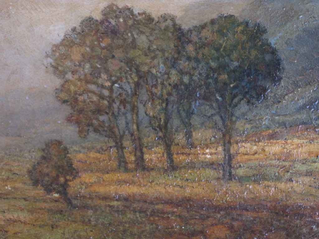 Hermann von DeWall (1868-1950)