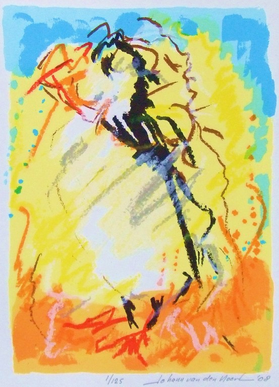 JOHANN VAN DEN NOORT, “Set van drie Papagaai duikers” 2008, zeefdruk. kopen? Bied vanaf 200!