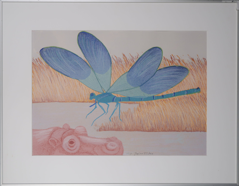 Jurjen Fontein: Zeefdruk, Libelle - Ingelijst kopen? Bied vanaf 1!