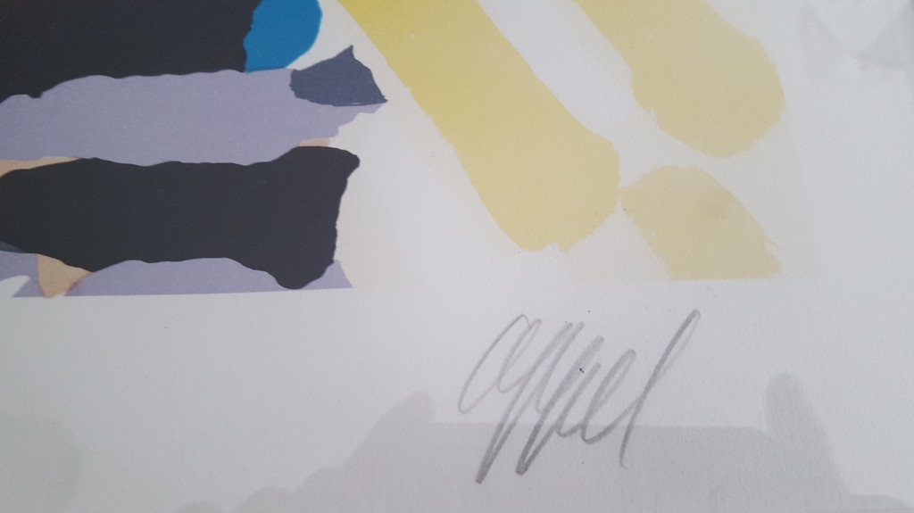 Splintering Heads - oplage 175 ex. - Prachtig ingelijst - 1978 kopen? Bied vanaf 450!