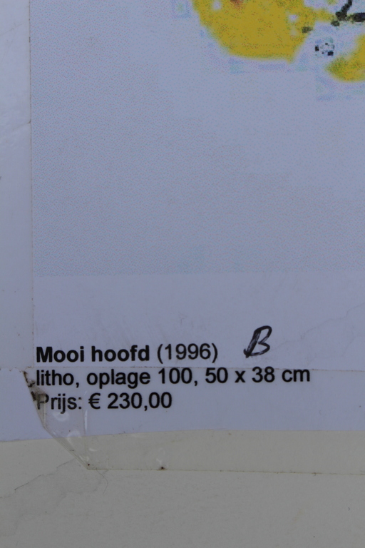 Jef Diederen (1920-2009)- gesigneerd litho - opl. 100 ex. -1996 -galerie Schoots kopen? Bied vanaf 25!