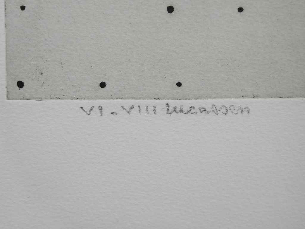 Reinier Lucassen, ets/aquatint, Olijf, VII/VIII kopen? Bied vanaf 175!