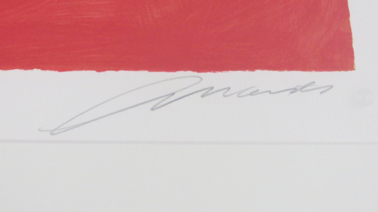 Eugène Brands: Kleurenzeefdruk - Exotische vis - PRACHTIG INGELIJST  kopen? Bied vanaf 375!