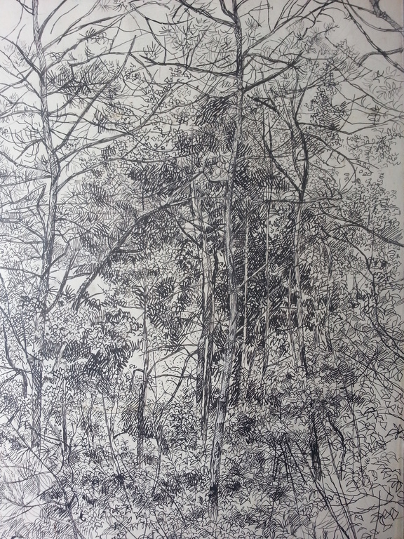 Herman Bieling - Inkt op karton - 1960 verkocht voor € 50!