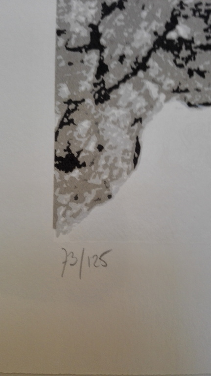 Ronald Boonacker, zeefdruk op papier, Titel: Night sky II kopen? Bied vanaf 50!