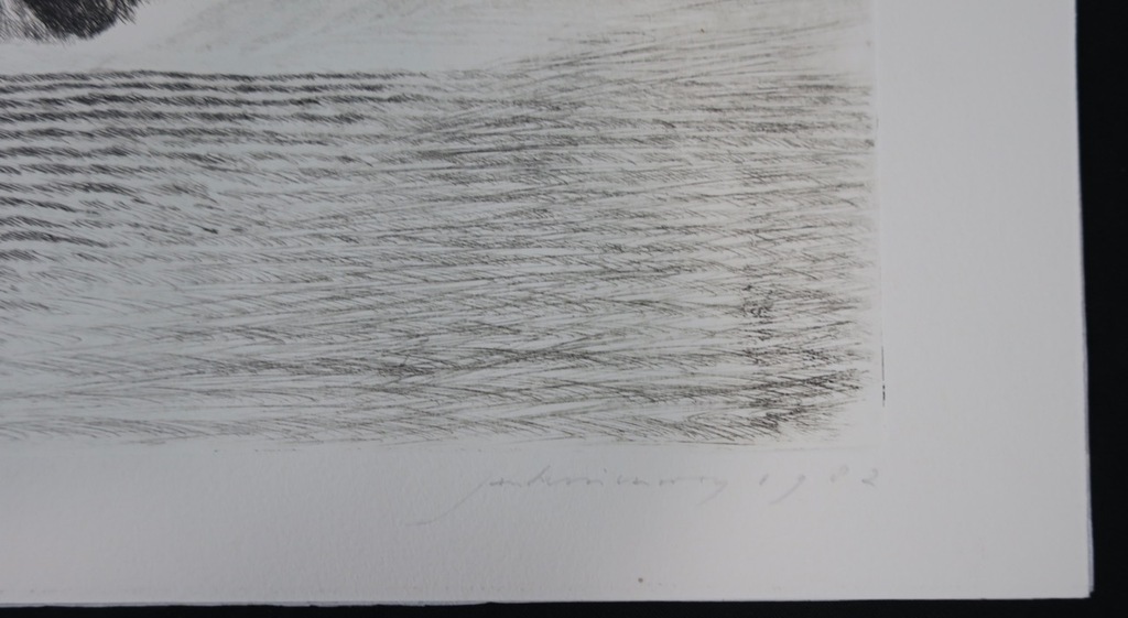 Jan Hein van Rooy: Ets, Wissant Achterland kopen? Bied vanaf 20!