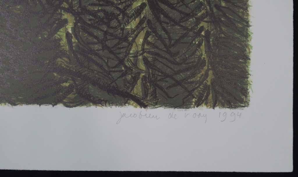 Jacobien de Rooij: Litho, Flou kopen? Bied vanaf 1!