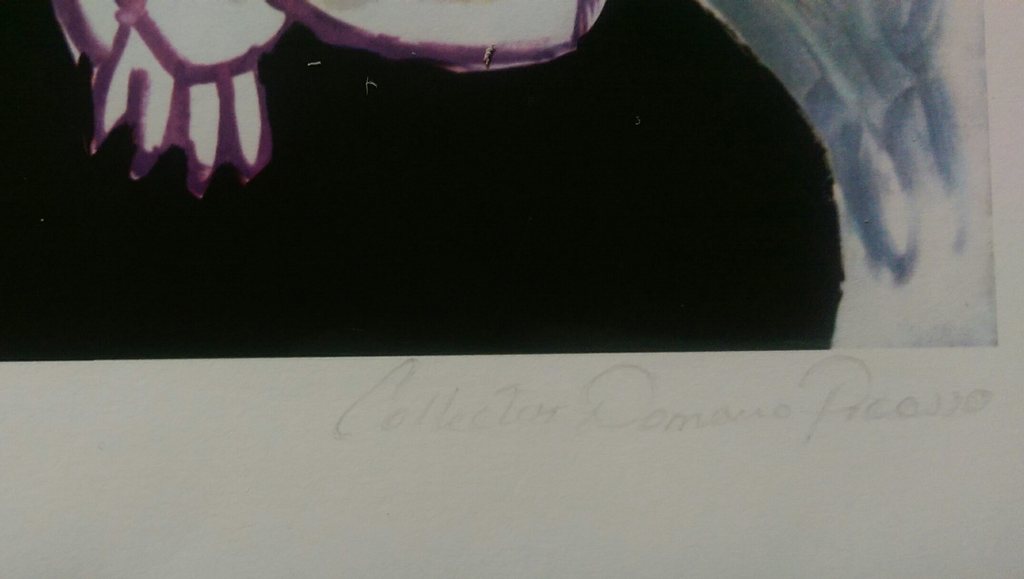 Pablo Picasso - Giclee-turkse sjaal  kopen? Bied vanaf 45!