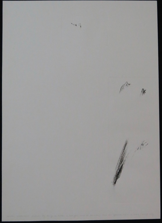 Paulien Wittenrood: Ets, Langs de takken...  kopen? Bied vanaf 1!