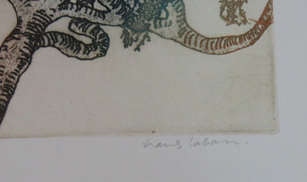 Hans Laban: Kleurenets, De val  kopen? Bied vanaf 1!