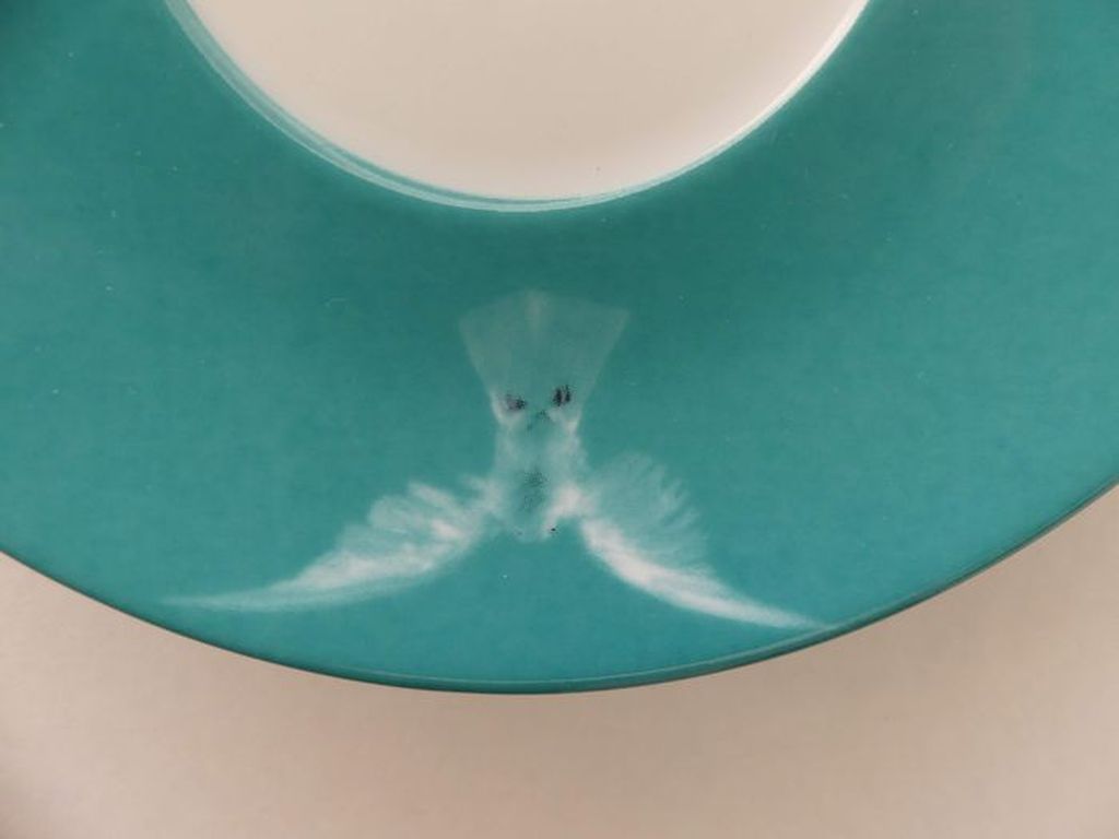 Damien Hirst - The Incomplete Truth kopen? Bied vanaf 49!