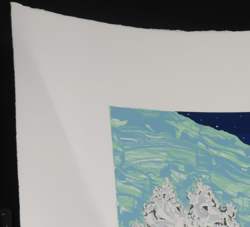 Hjalmar Riemersma: Zeefdruk, Sterrendorp kopen? Bied vanaf 1!