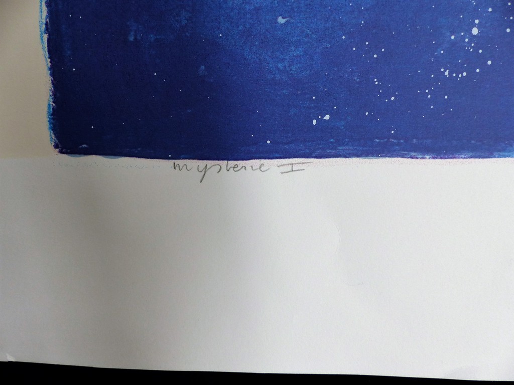 Ron v/d Werf,Zeefdruk op papier met zwelinkt, Mysterie1,Handgesigneerd kopen? Bied vanaf 50!