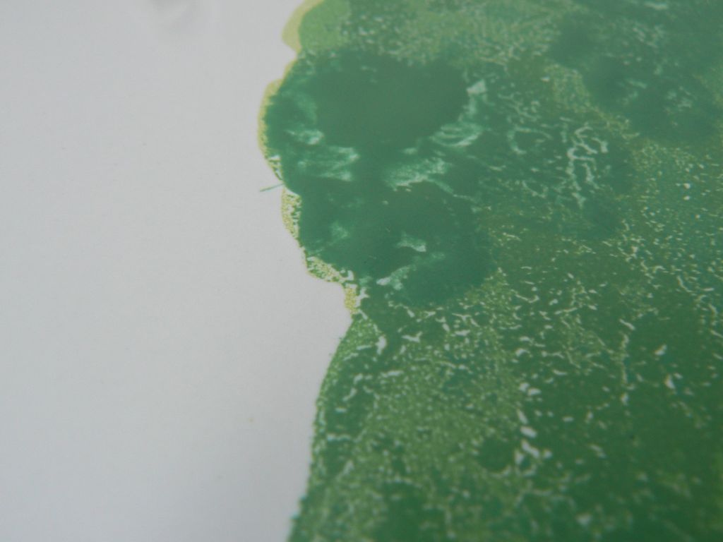 Jef Diederen Wandbord Koninklijke Tichelaar Makkum 2001 kopen? Bied vanaf 69!