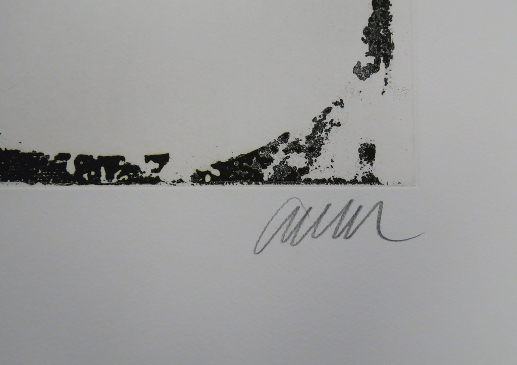 Arman: Gravure, Noir et Blanc kopen? Bied vanaf 200!