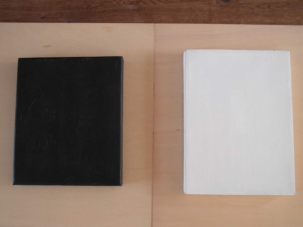 Gjalt Walstra - twee keer olieverf op doek - zwart en wit kopen? Bied vanaf 75!