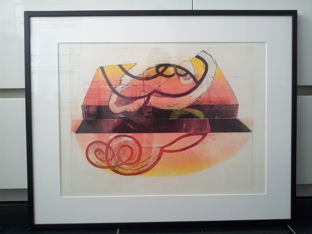 Hans Vredegoor Gesigneerde Ets Het Voorgevoel Ingelijst Oplage 40 ex. verkocht voor € 35!