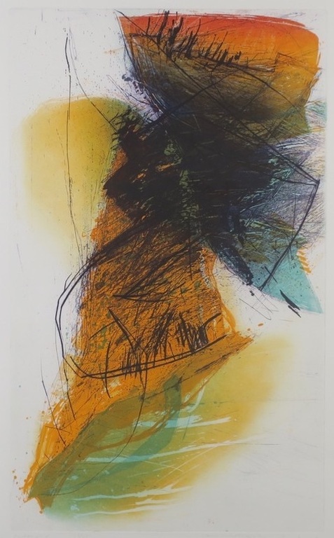Hans Vredegoor ets en aquatint 'Entangled' - ingelijst  verkocht voor € 36!