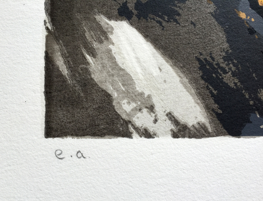 Anita Duijf - Zwarte Tulp - Gesigneerde zeefdruk - E/A - 1999 kopen? Bied vanaf 50!