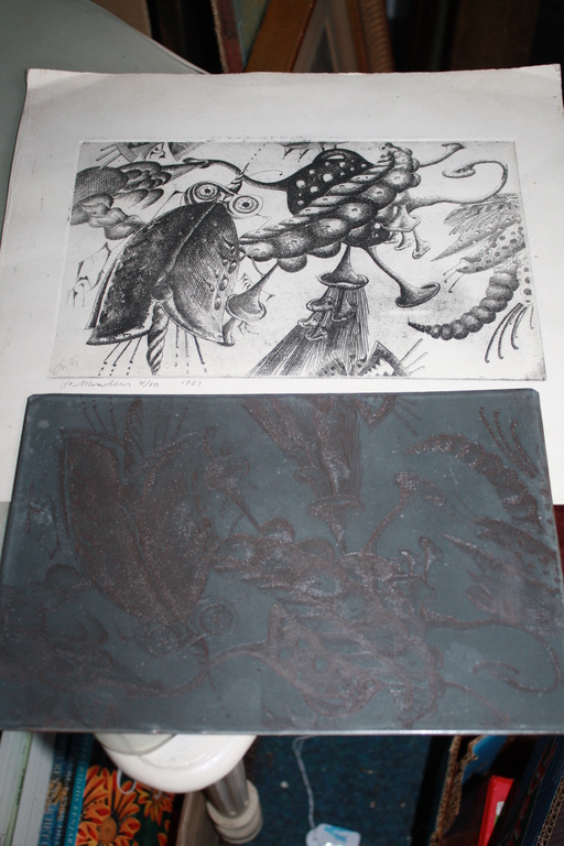 Jo Manders uit HELMOND ETS INSEKTEN + ORGINELE ETSPLAAT kopen? Bied vanaf 50!