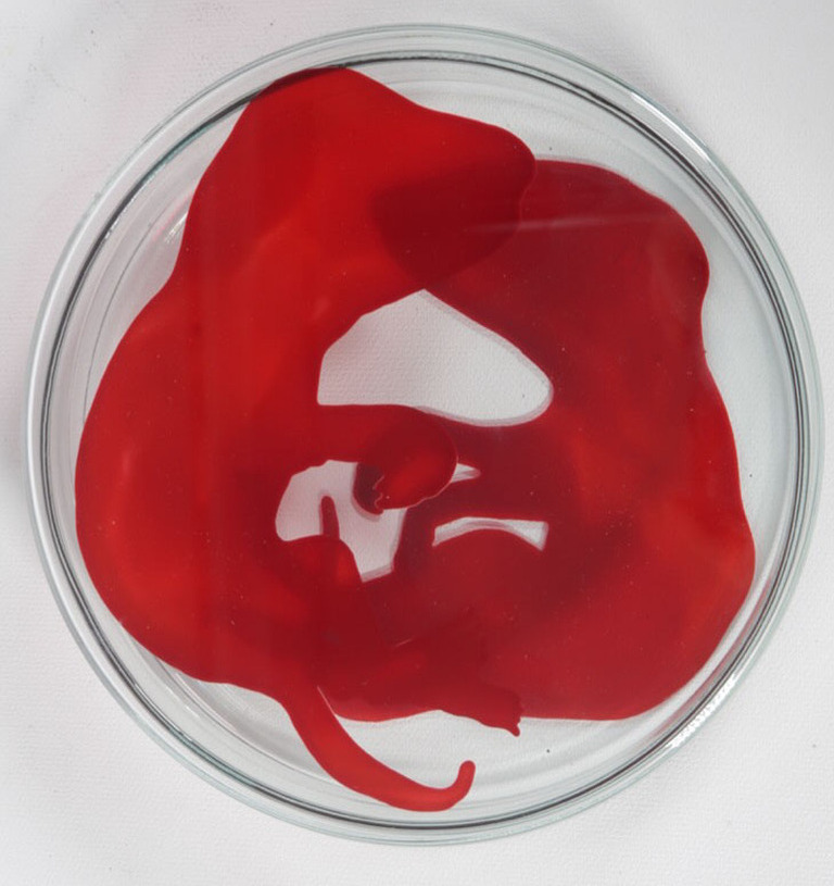 Lisette Verkerk: Beschilderd petrischaaltje, Origins II kopen? Bied vanaf 35!