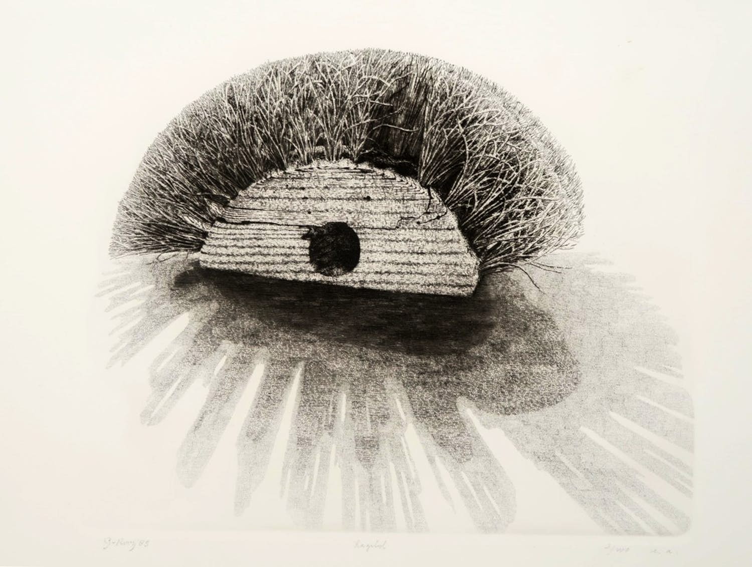 Gerard van Rooy - Gerard van Rooy: Ets en aquatint, Ragebol verkocht voor € 35!