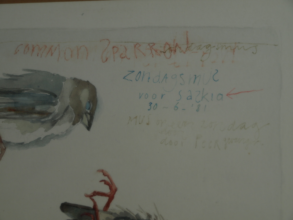 Pien Hazenberg (1942-) – Aquarel, Dooie mus / Sparrow - 1981 kopen? Bied vanaf 1!