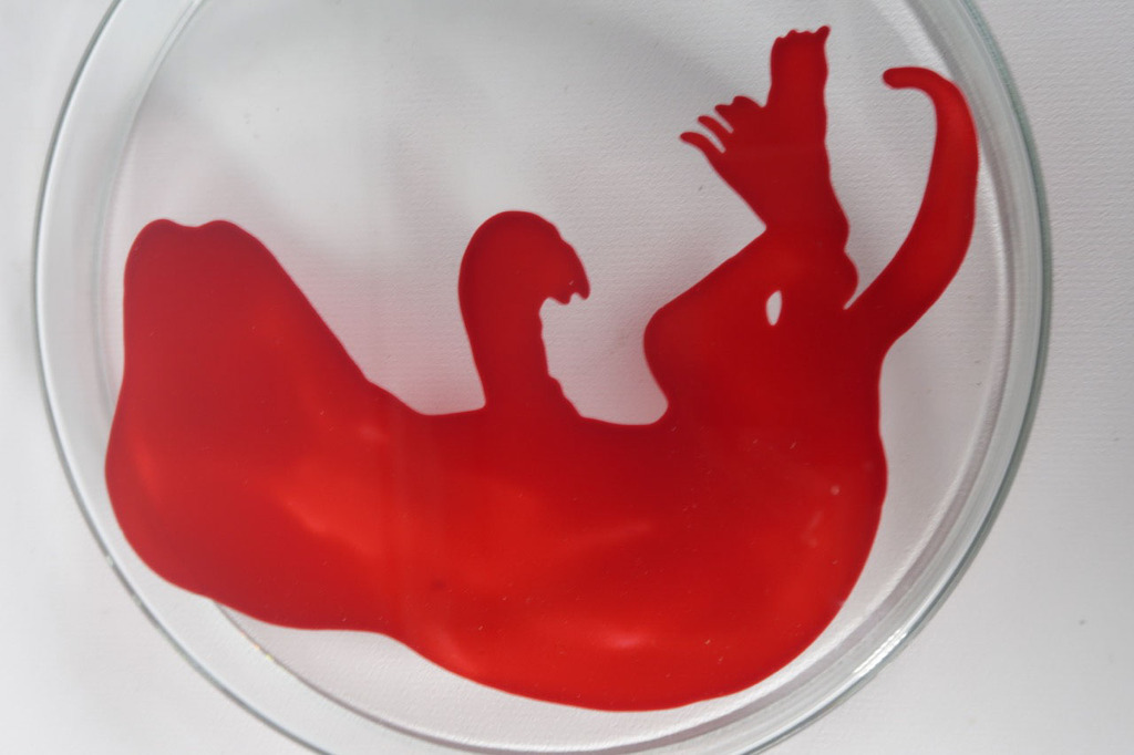 Lisette Verkerk: Beschilderd petrischaaltje, Origins II kopen? Bied vanaf 35!