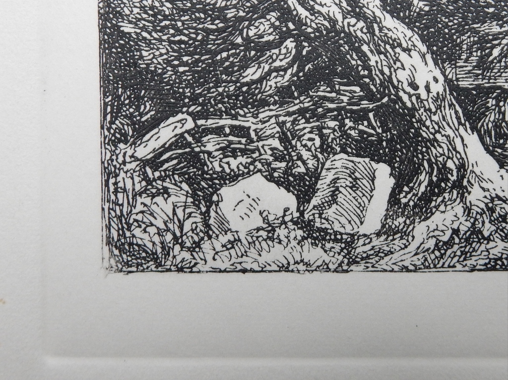 Onbekende maker - oude gravure - voorstelling van huis in landschap kopen? Bied vanaf 10!