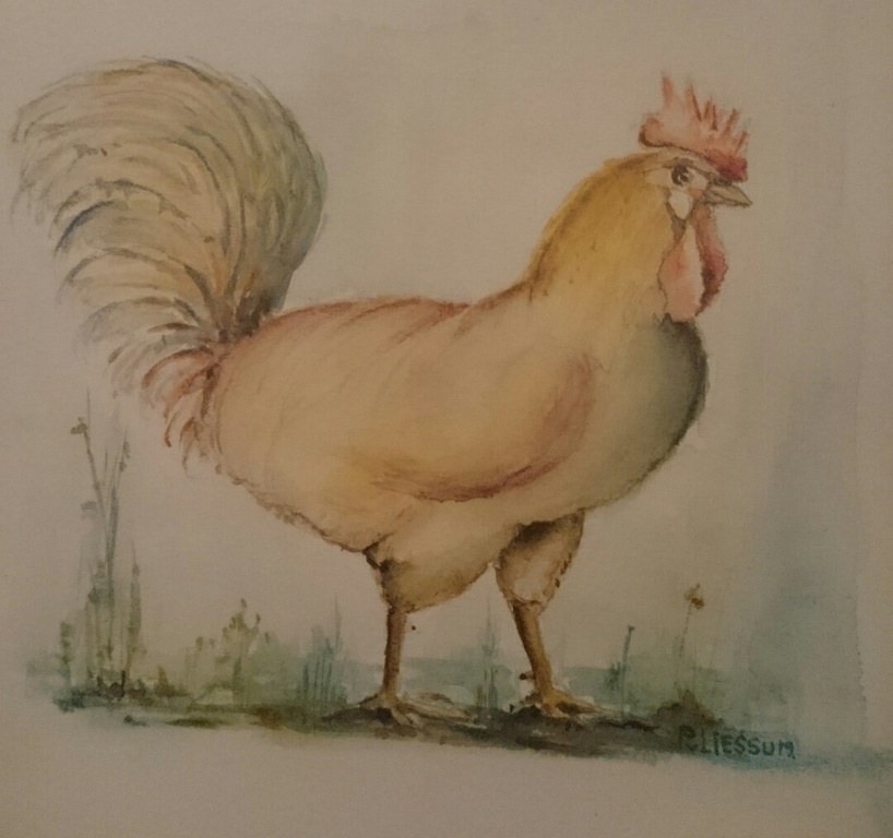 Aquarel 'haan' van P. van Liessum? kopen? Bied vanaf 1!