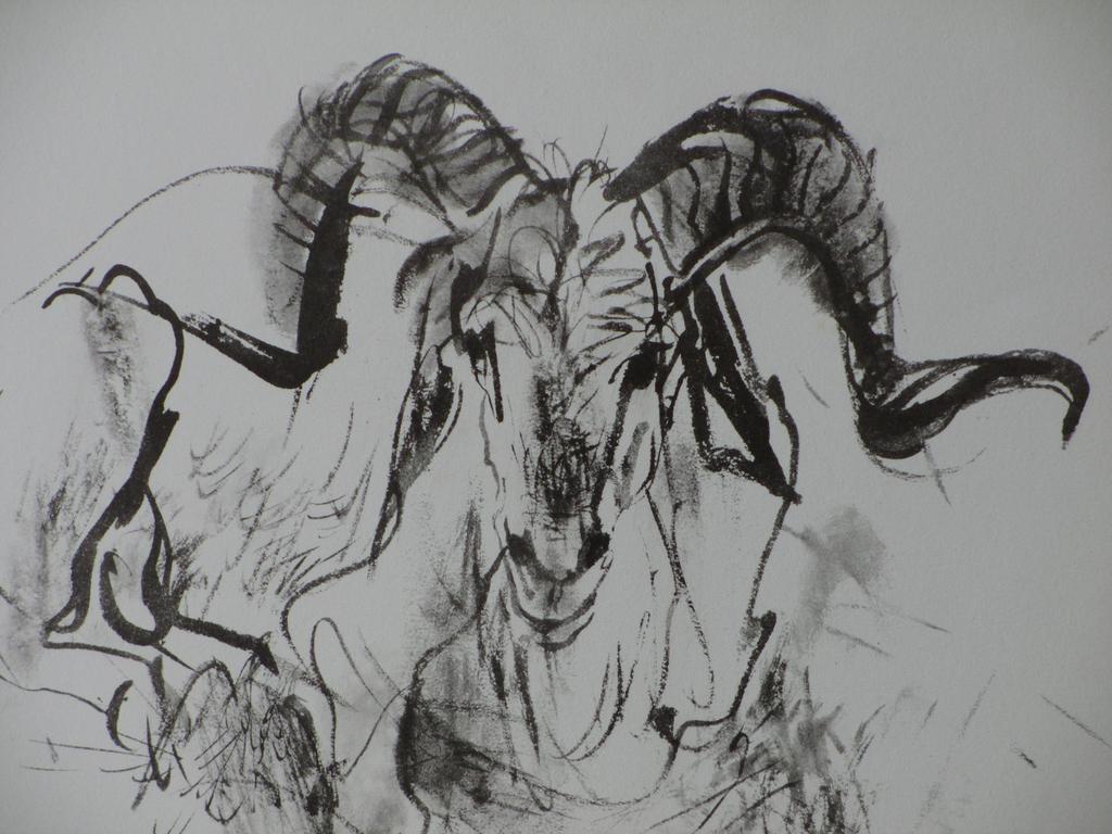 Piet Klaasse, Rambok, Litho kopen? Bied vanaf 1!