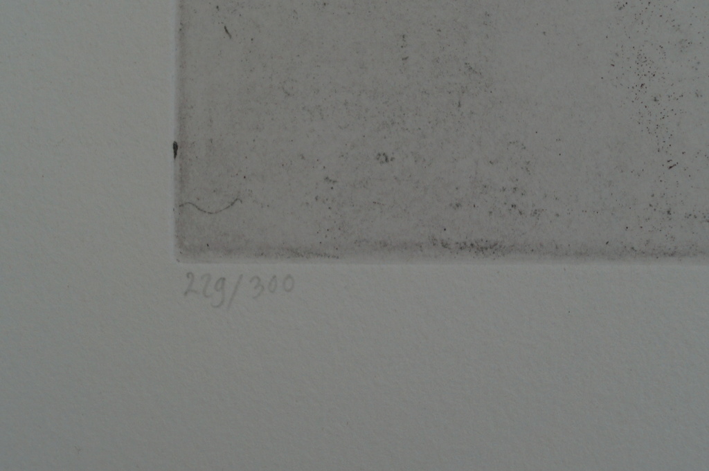 Marian Zult - gesigneerde ets - 1993 kopen? Bied vanaf 15!