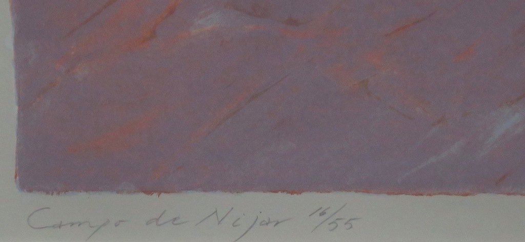 Jan van Rooy: Litho, Campo di Nijar -Ingelijst kopen? Bied vanaf 1!
