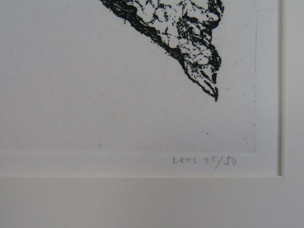 Reinder Homan: Ets, Begonia kopen? Bied vanaf 1!