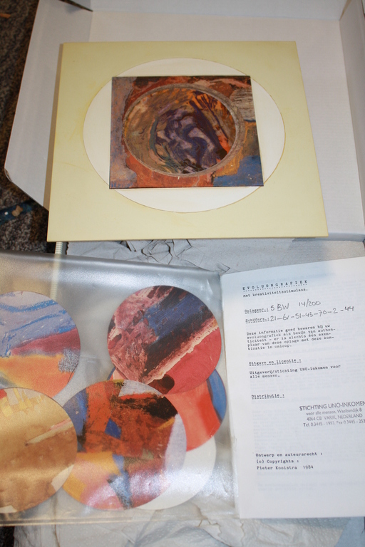 EVOLUON GRAFIEK van PIETER KOOISTRA met DRAAIMECHANIEK kopen? Bied vanaf 39!