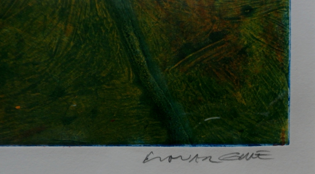 Elmar Gille - Elmar Gille - kleurenets: Klaprozen (groot) kopen? Bied vanaf 95!