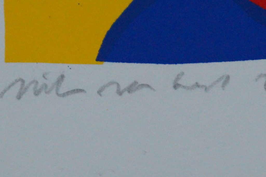 Willem van Hest - gesigneerde zeefdruk - 2000 kopen? Bied vanaf 10!