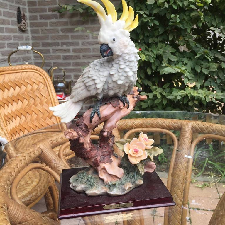 a sabatini, keramiek, Parot kopen? Bied vanaf 50!