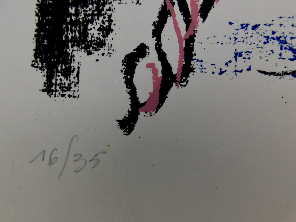 Dees de Bruyne - Kleurenlitho - Grazie kopen? Bied vanaf 75!