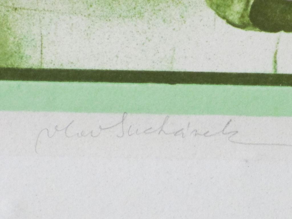 Vladimir Suchanek, Vrouw met slang en appel, Kleurenlitho kaufen? Bieten Sie von 55!