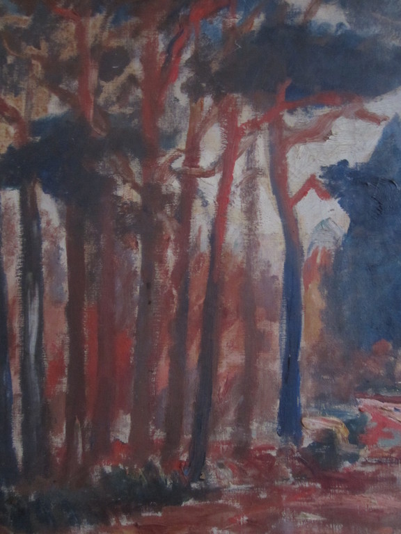 JAN KRUYSEN (ATTRIB.) FAUVISTISCH LANDSCHAP OIRSCHOT BOXTEL kopen? Bied vanaf 75!