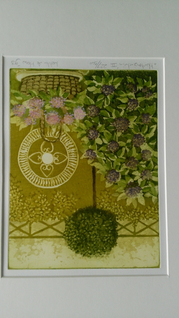 Hortensiatuin II kopen? Bied vanaf 27!