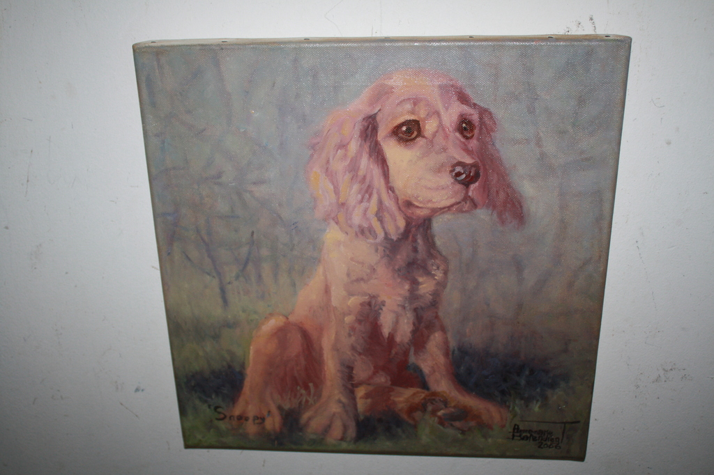 PUPPY HONDJE van A BRENDREGT kopen? Bied vanaf 1!