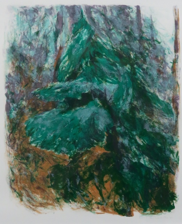 Marian Plug: Litho, Noord - Ingelijst kopen? Bied vanaf 1!