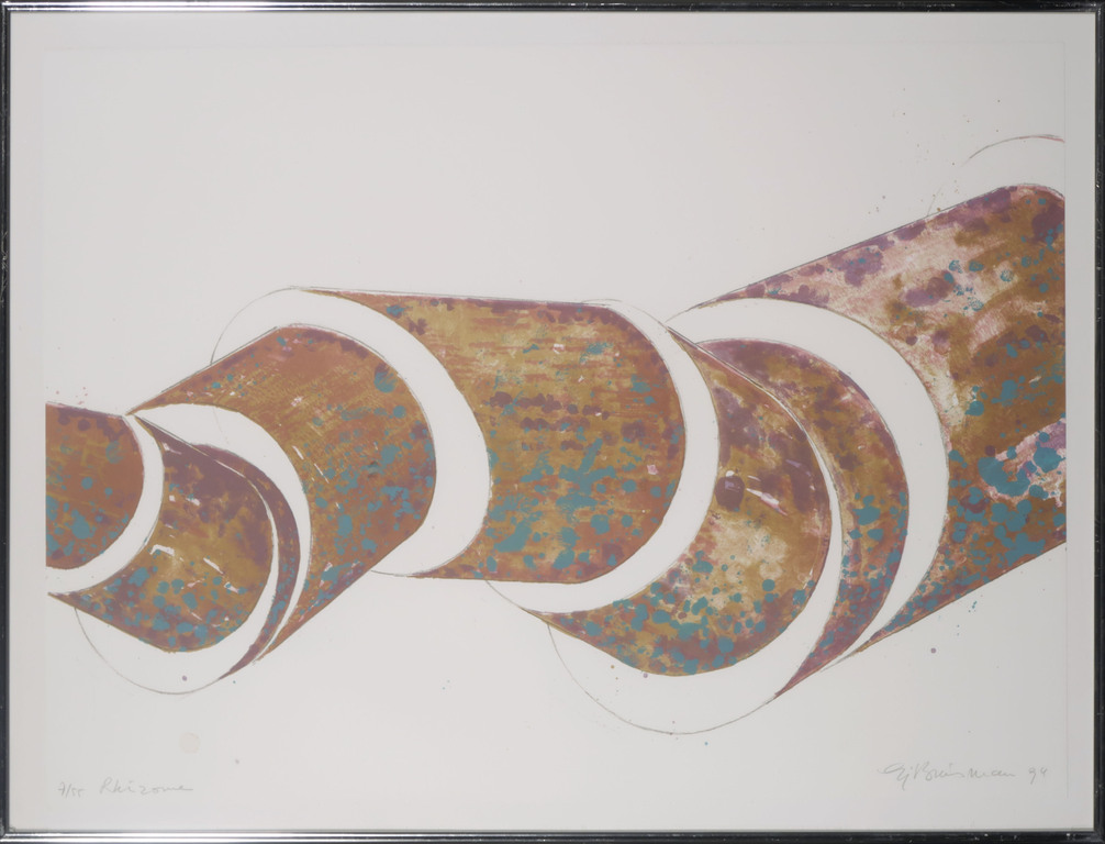 Sjoerd Buisman: Litho, Rhizome - Ingelijst verkocht voor € 35!