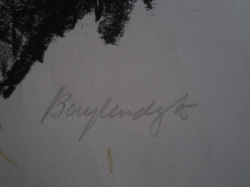 Anton Buytendijk 1913-2002 vrij zeldzaam Litho "Bizons" gesigneerd en genummerd kopen? Bied vanaf 1!