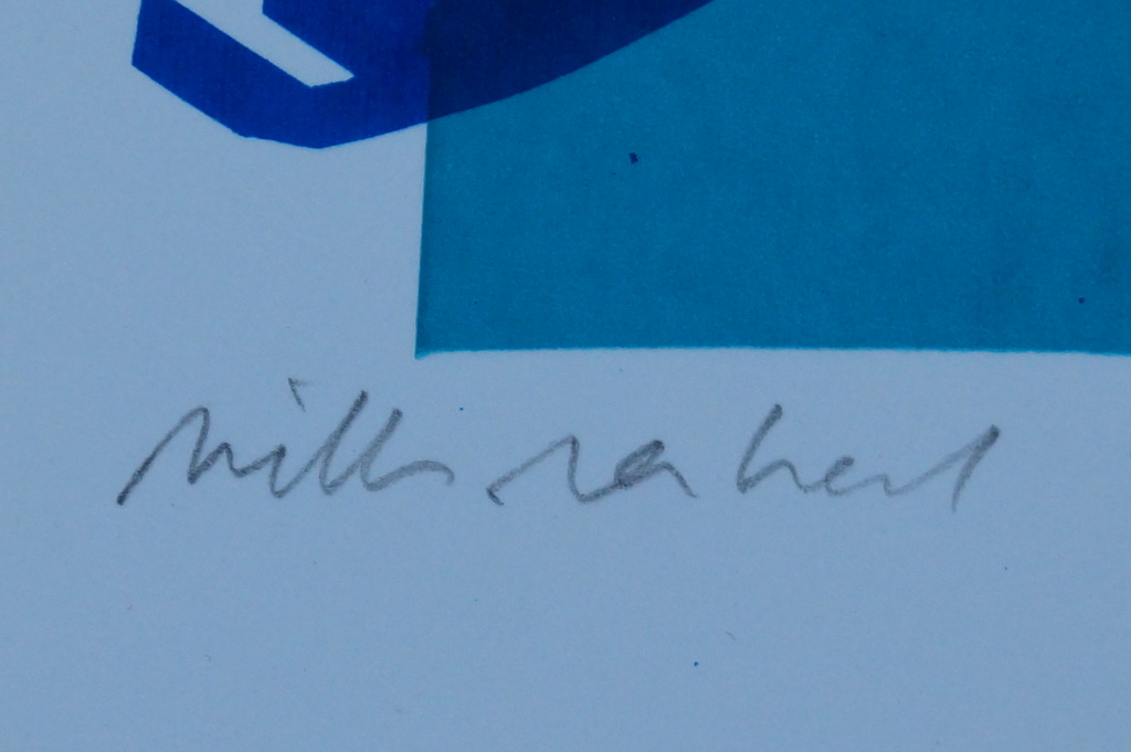 Willem van Hest - gesigneerde zeefdruk - 2002 kopen? Bied vanaf 10!